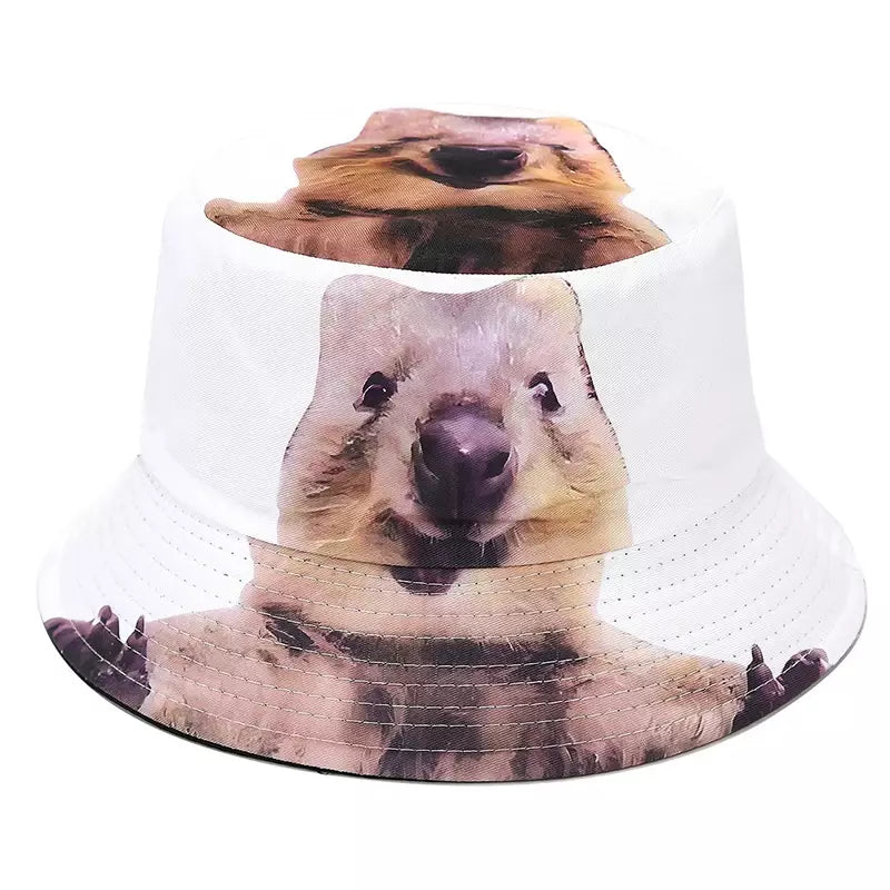 Quokka